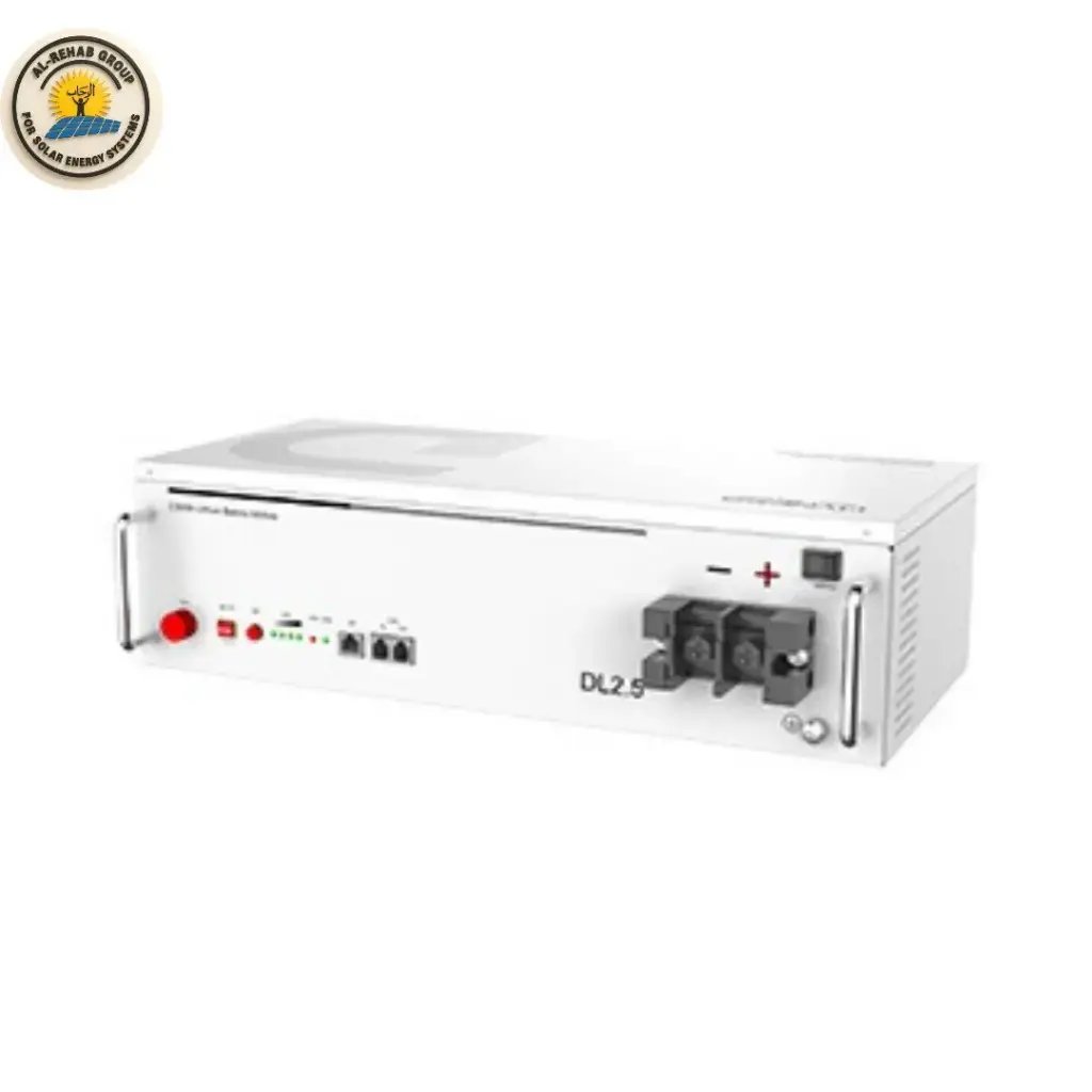 Dyness Lithium Batteries25.6v - 100ah/2.56kwh