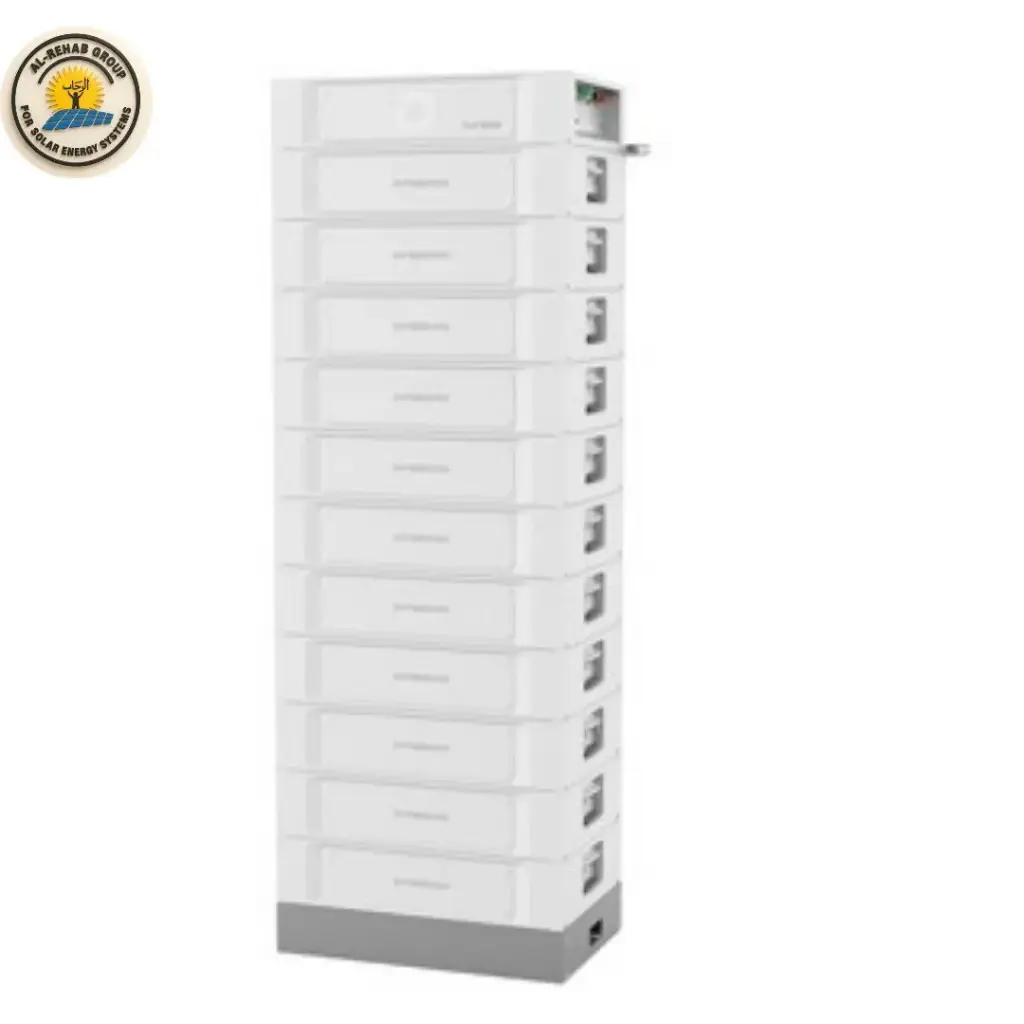 Dyness Lithium Batteries Stack100/15.36~76.8kwh